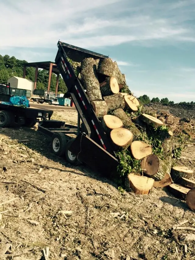 Tree sections loaded after removal