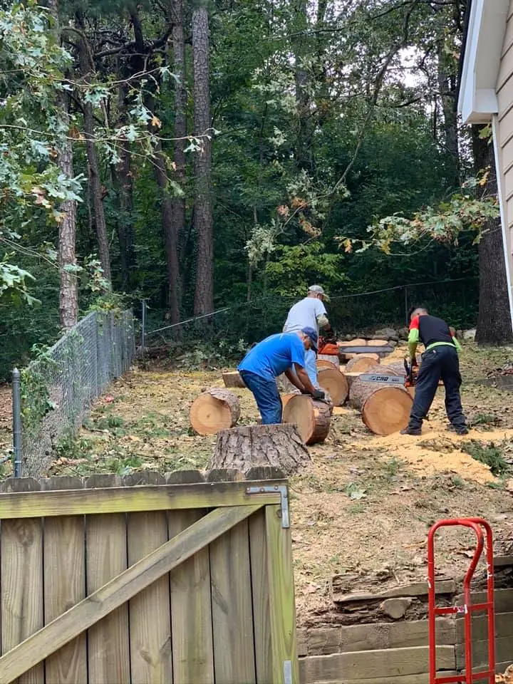 Crew clearing a fallen tree from a yard